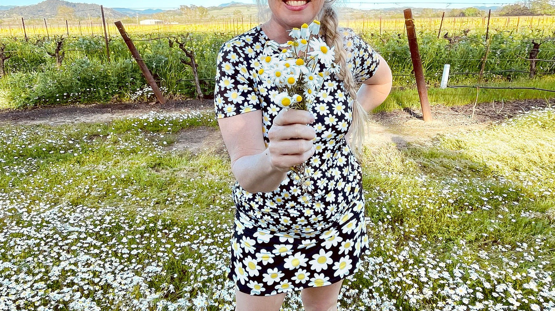 Hello Sunshine! - Lesley Evers