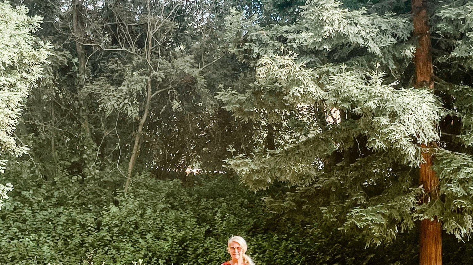 Summer Is Here. - Lesley Evers