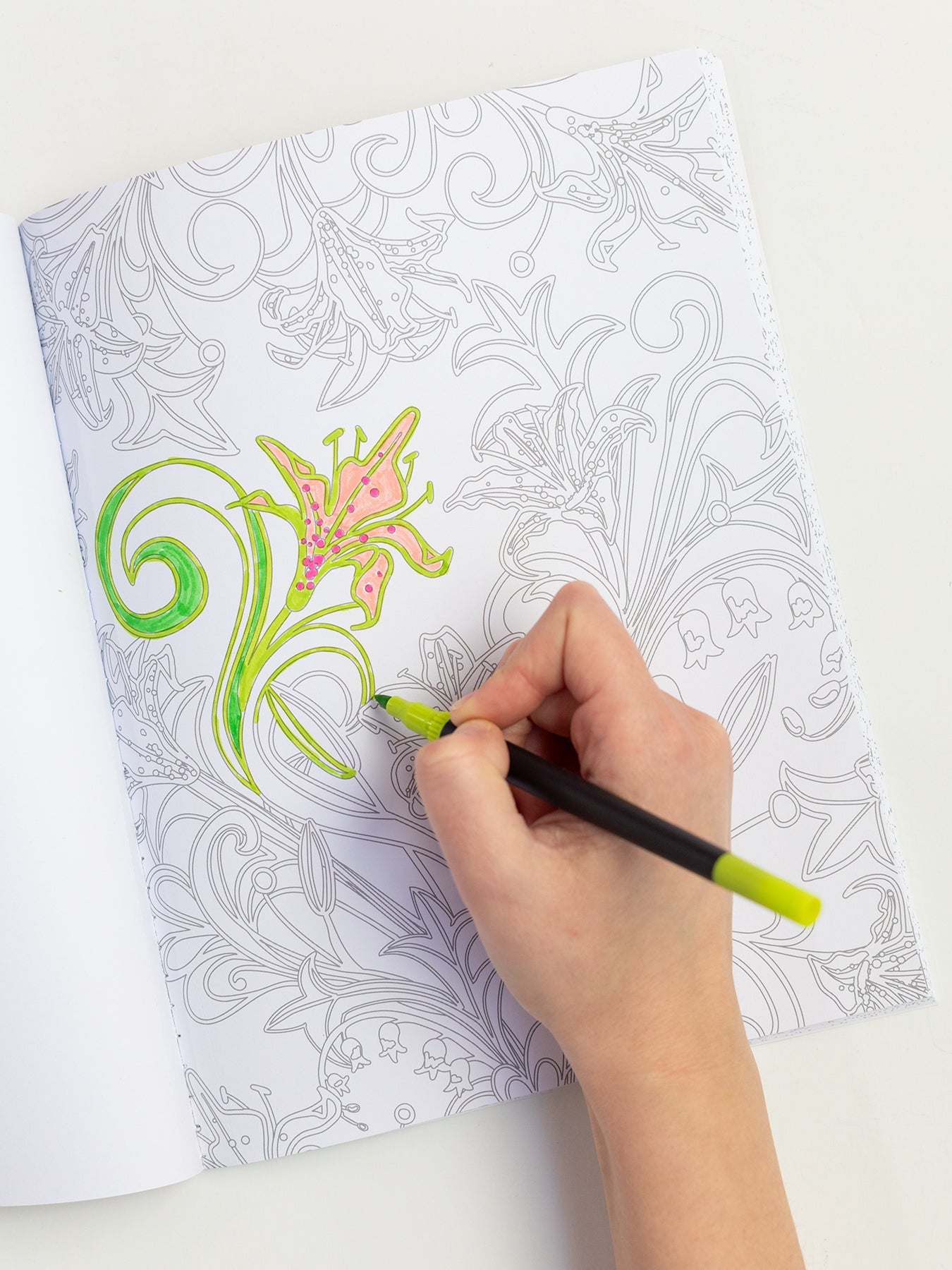 COLORING BOOK Our Wonderful World of Flowers - Lesley Evers - adult coloring book - coloring - coloring book