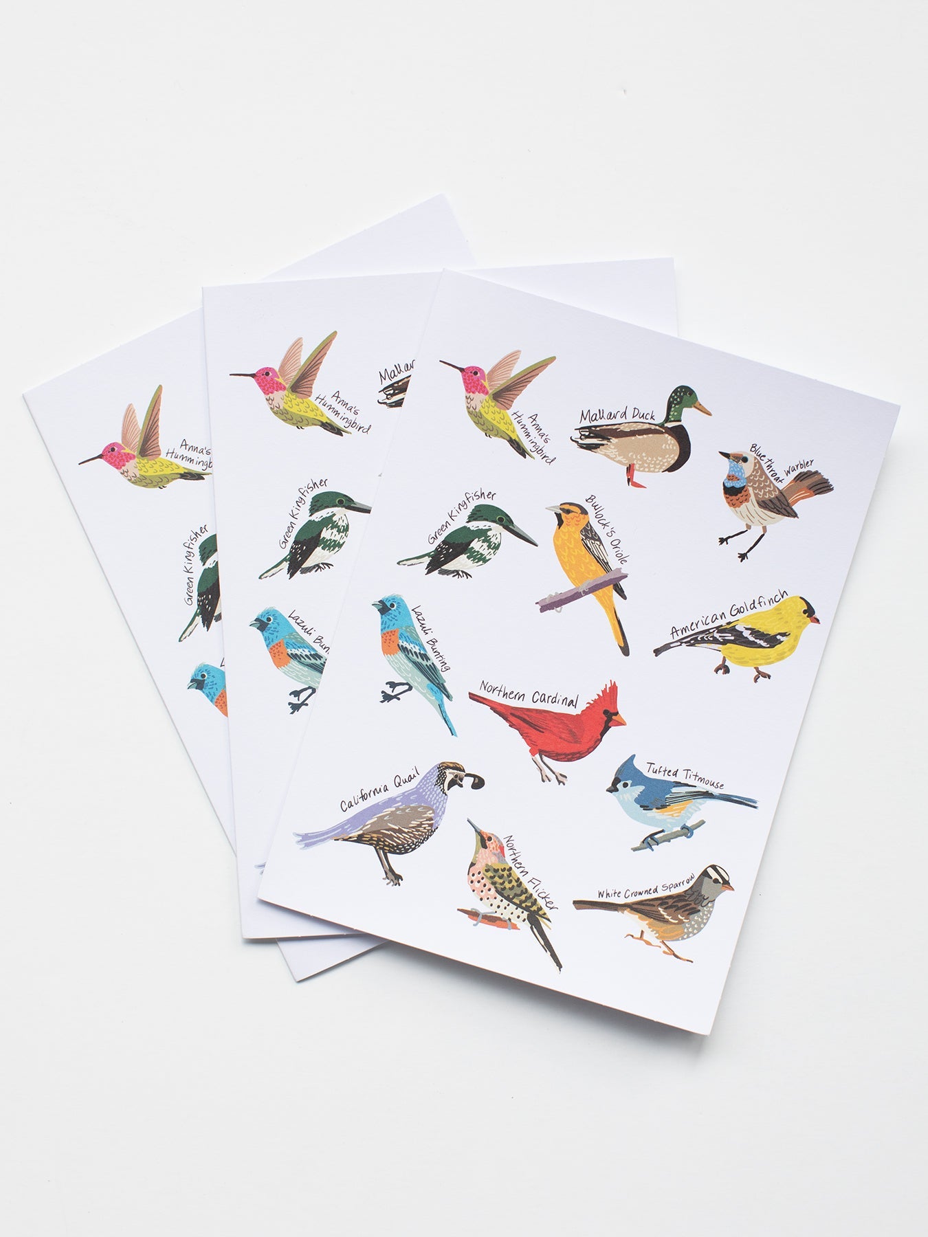 NOTECARD BOXED SET OF 12 Birds - Lesley Evers - A5 - A5 Notebook - birds