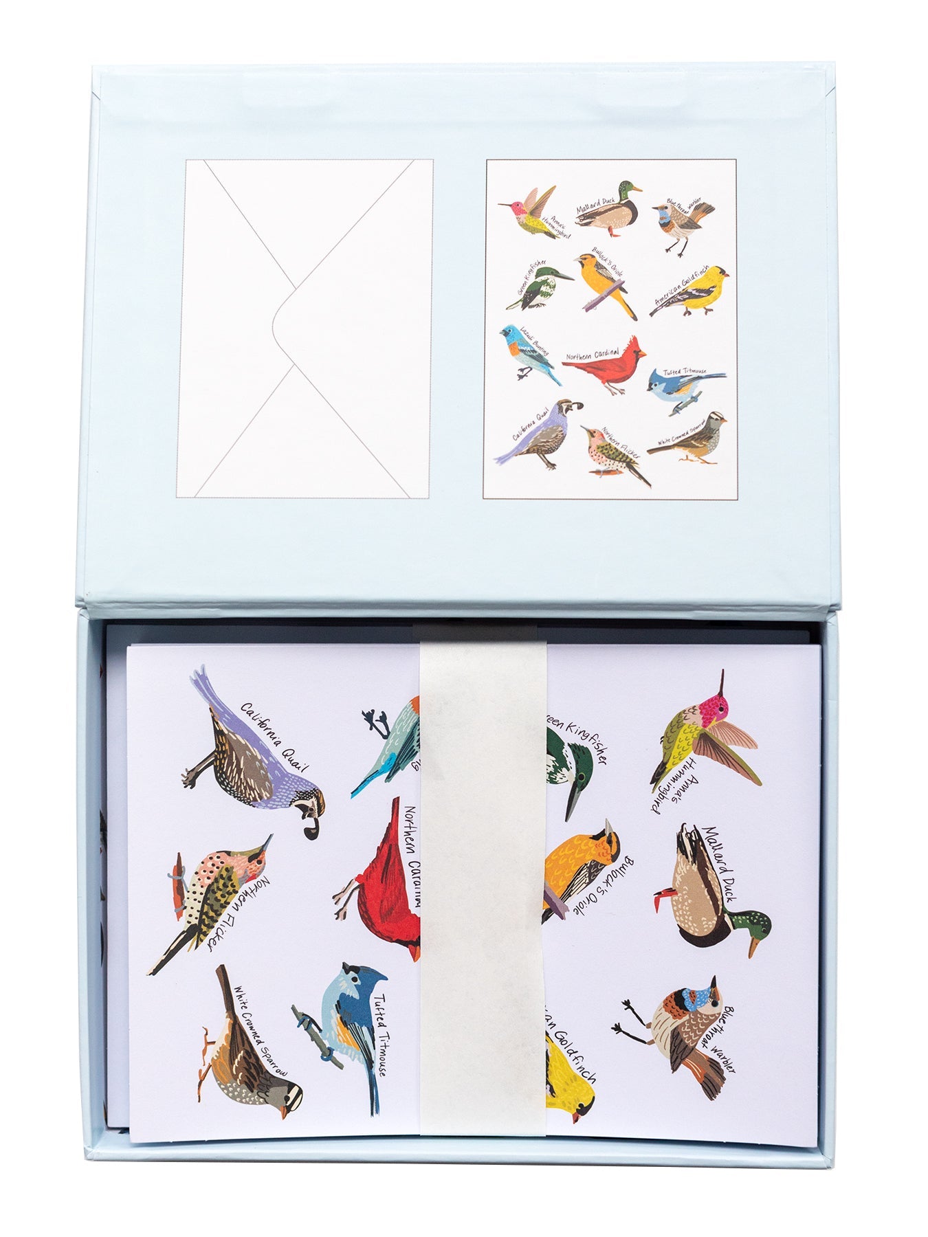 NOTECARD BOXED SET OF 12 Birds - Lesley Evers - A5 - A5 Notebook - birds