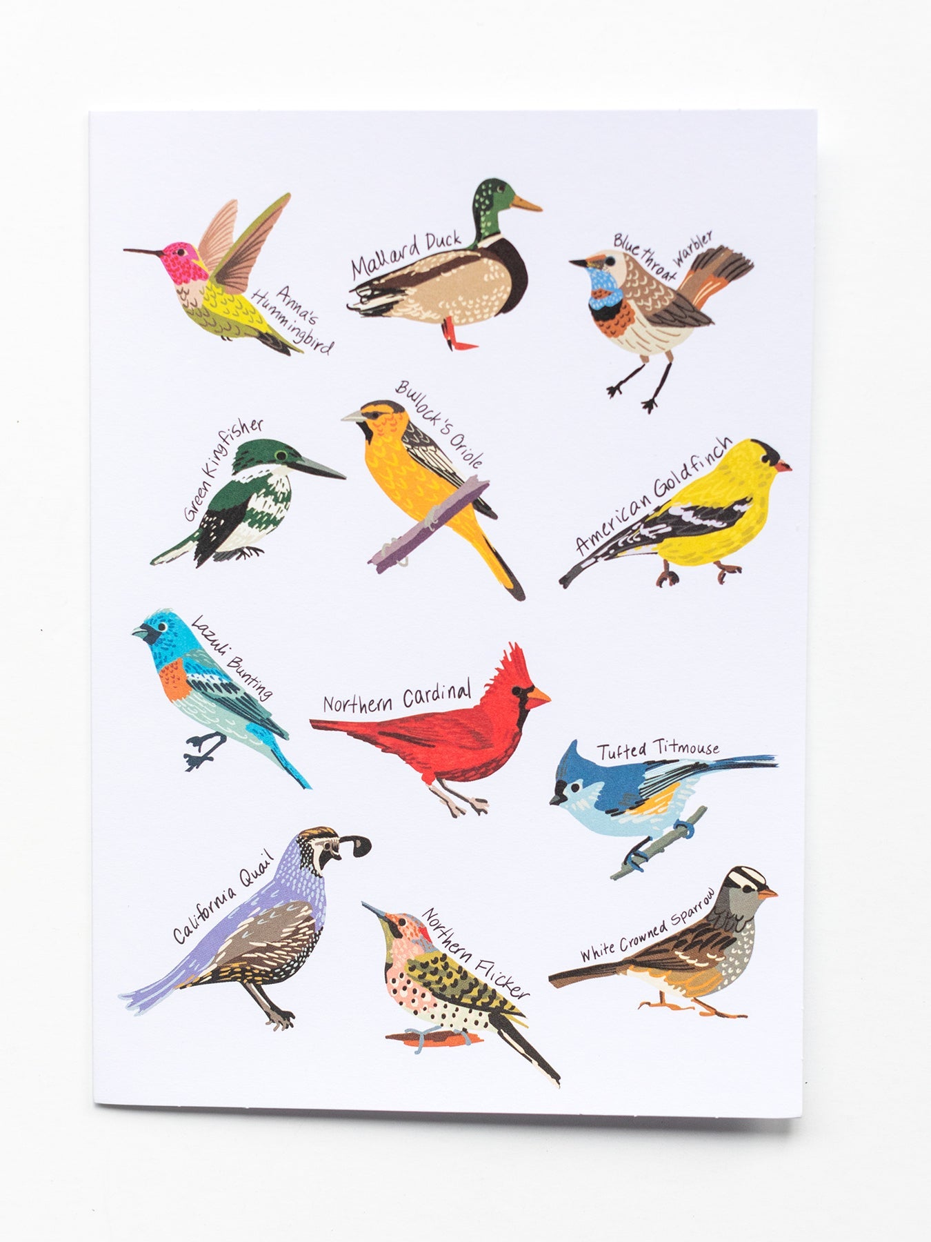NOTECARD BOXED SET OF 12 Birds - Lesley Evers - A5 - A5 Notebook - birds