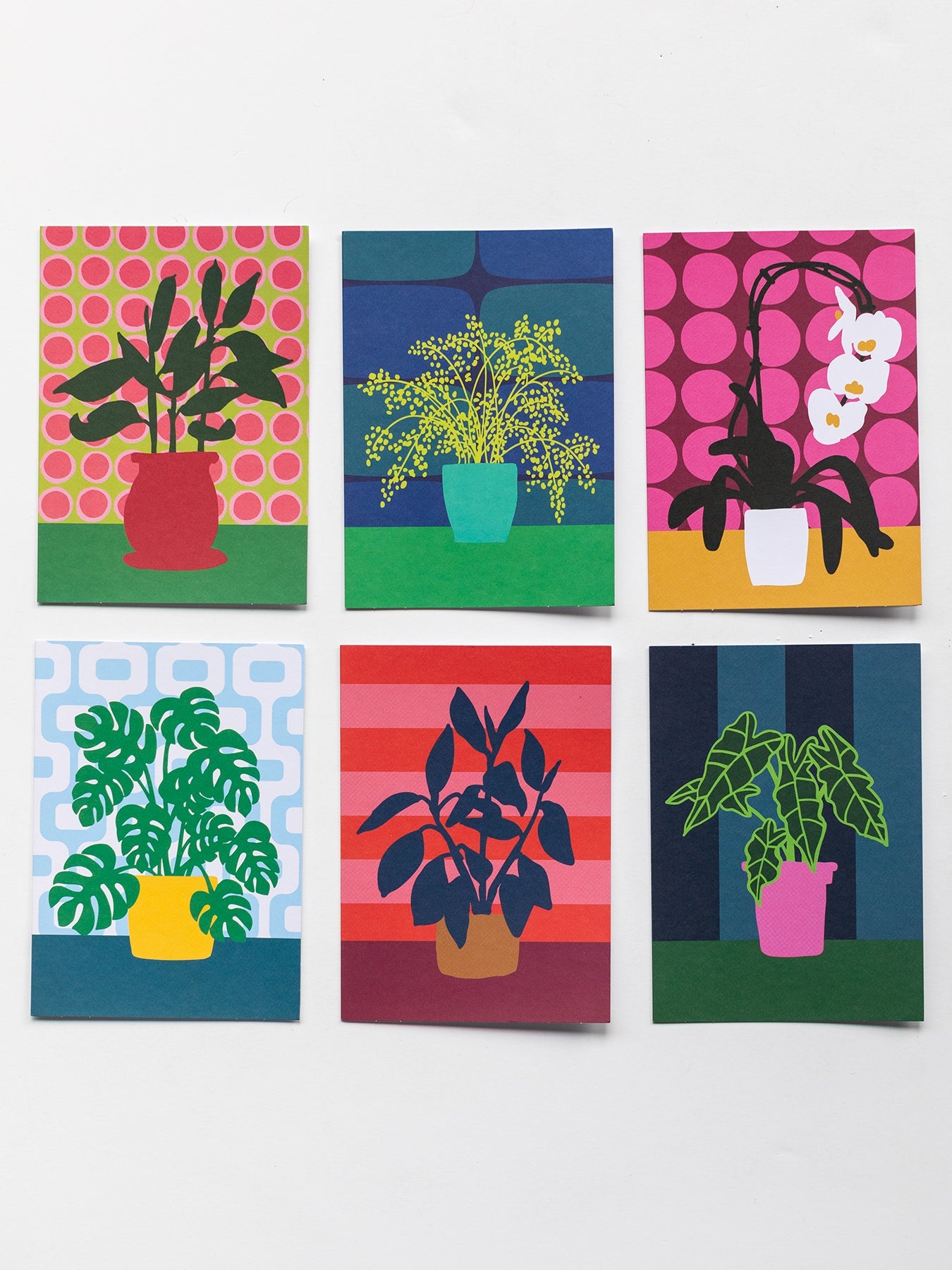 NOTECARD BOXED SET OF 12 Houseplants - Lesley Evers - Boxed Notecard Set - daffodils pink and green - Diary