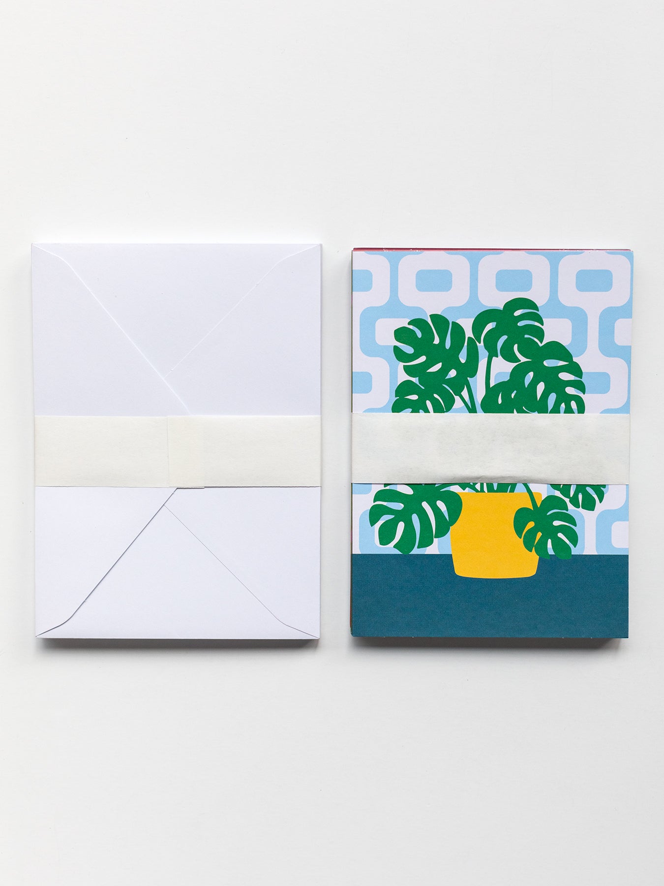 NOTECARD BOXED SET OF 12 Houseplants - Lesley Evers - Boxed Notecard Set - daffodils pink and green - Diary