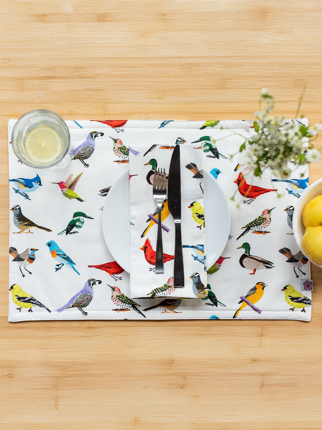 PLACEMATS set of 4 Birds - Lesley Evers - bird - birds - Giftable