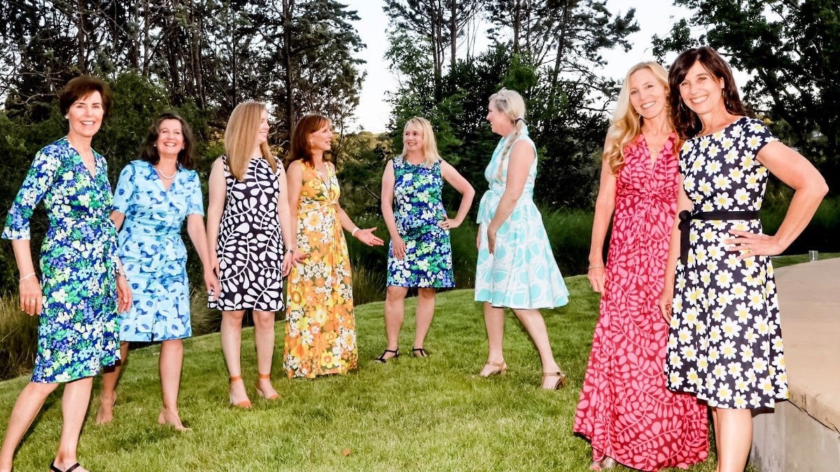 Friends and Frocks - Lesley Evers