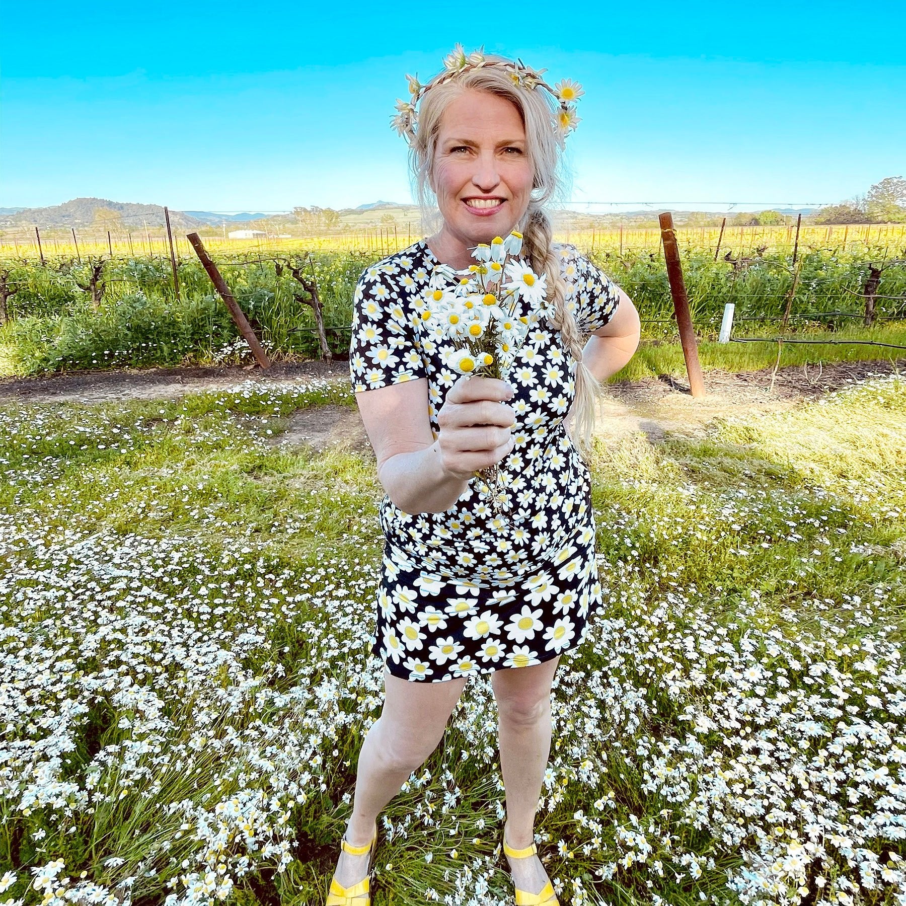 Hello Sunshine! - Lesley Evers