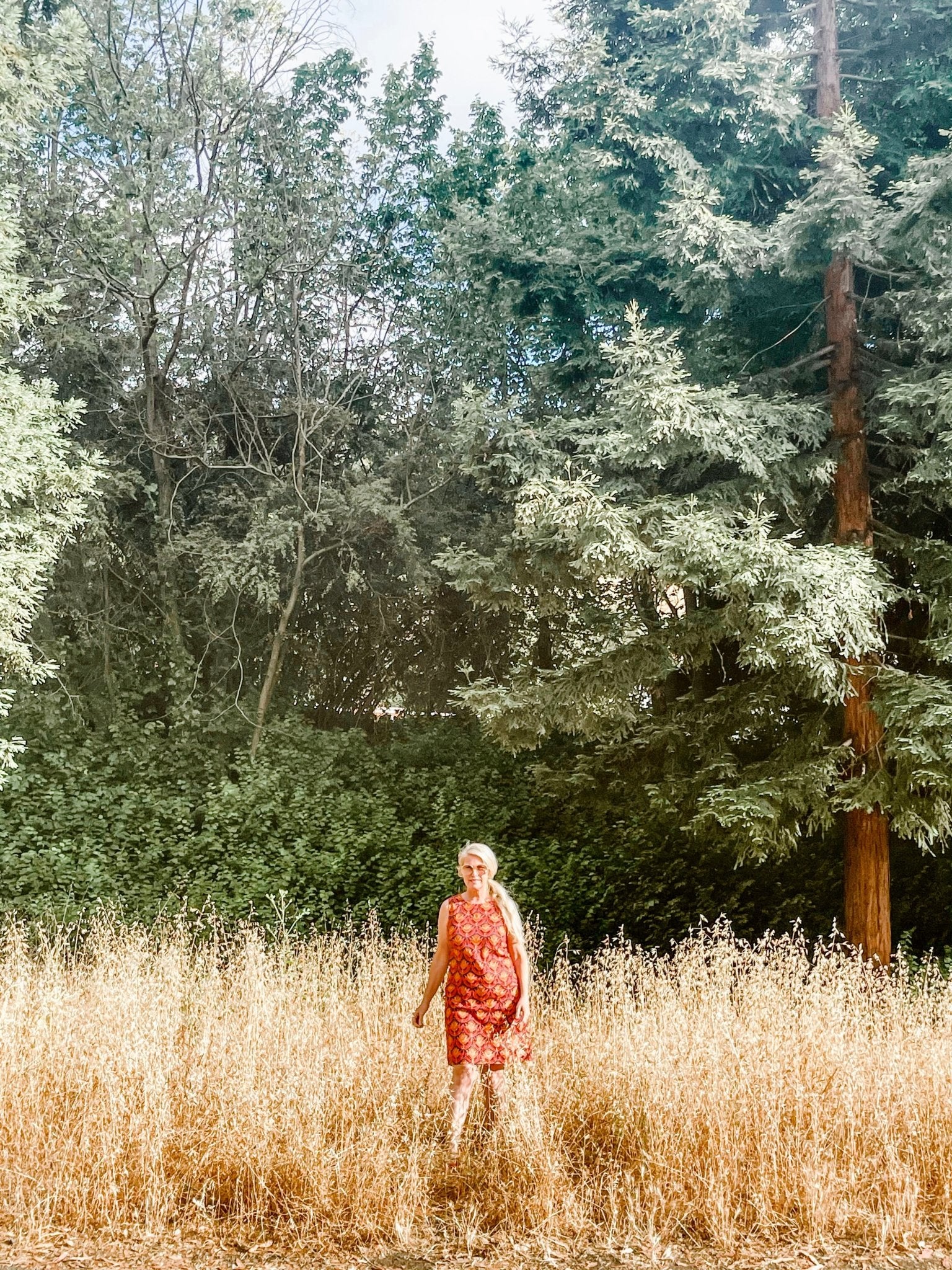 Summer Is Here. - Lesley Evers