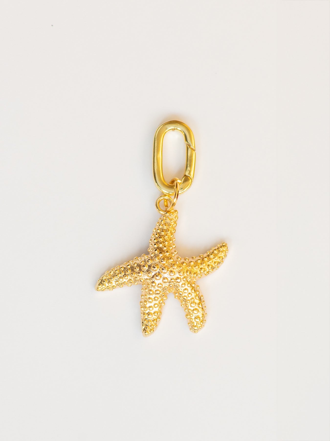 CHARM Starfish - Lesley Evers - Accessories - accessory - Shop