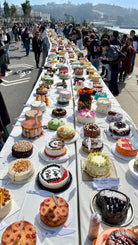 DIXIE skirt Cakes - Lesley Evers - Blue - Bottoms - new