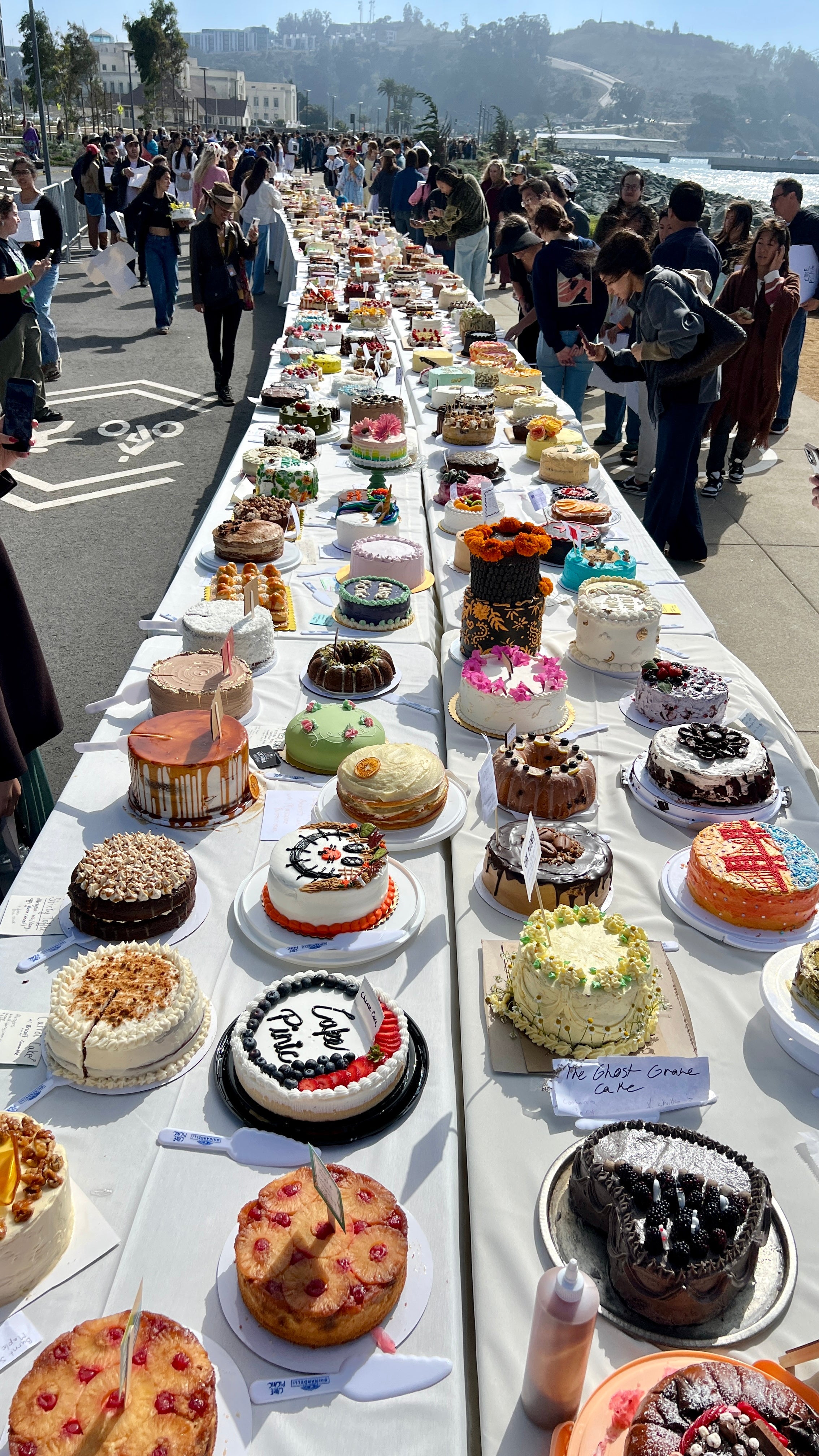 DIXIE skirt Cakes - Lesley Evers - Blue - Bottoms - new