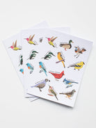 NOTECARD BOXED SET OF 12 Birds - Lesley Evers - A5 - A5 Notebook - birds