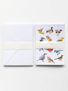 NOTECARD BOXED SET OF 12 Birds - Lesley Evers - A5 - A5 Notebook - birds