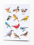 NOTECARD BOXED SET OF 12 Birds - Lesley Evers - A5 - A5 Notebook - birds